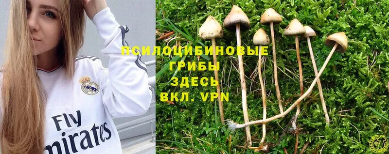 Псилоцибиновые грибы MAGIC MUSHROOMS  хочу   Северская 